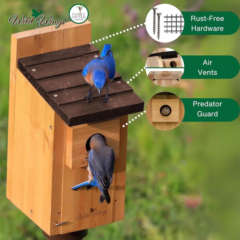Wild Wings WWCH3 Cedar Blue Bird Box House - Image 3